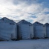 Grain Bins